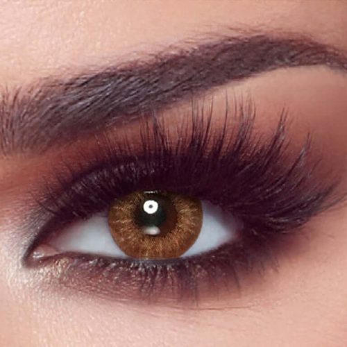 Bella One Day Almond Brown Contact Lenses