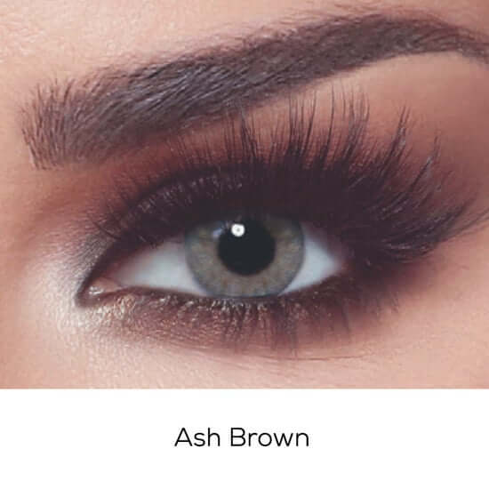 Bella One Day Ash Brown Contact Lenses
