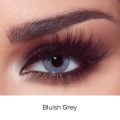 Bella One Day Bluish Grey Contact Lenses