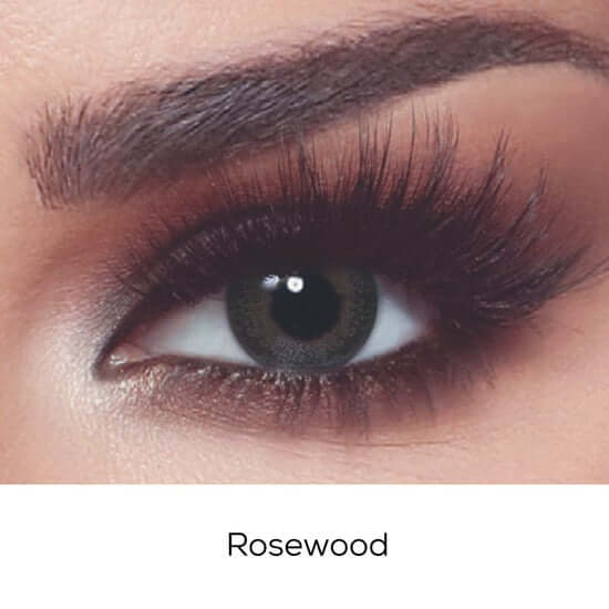 Bella One Day Rosewood Contact Lenses